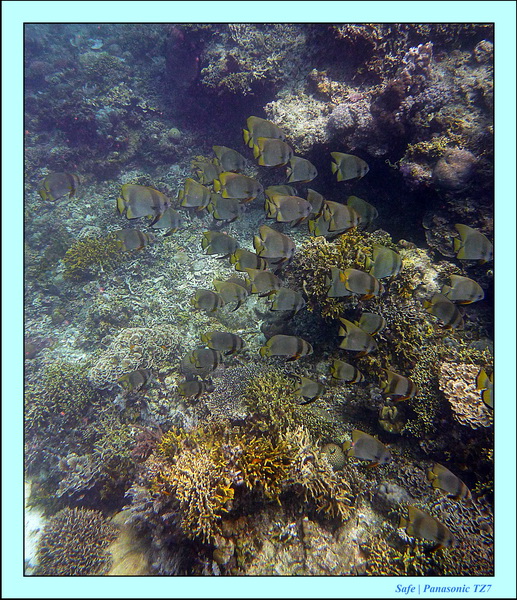 2012 - 07 - Palinton Sanctuary 08